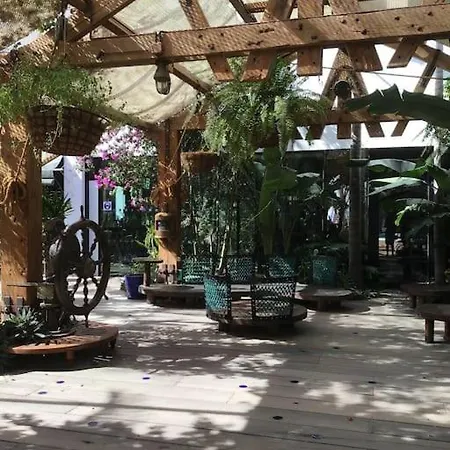 Exterior Con Vistas Playa de las Americas (Tenerife)